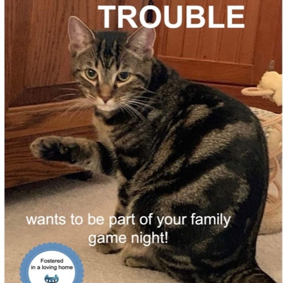 Posh Ambassador for Jane Iredale 🥰 - Picture 5 of 16